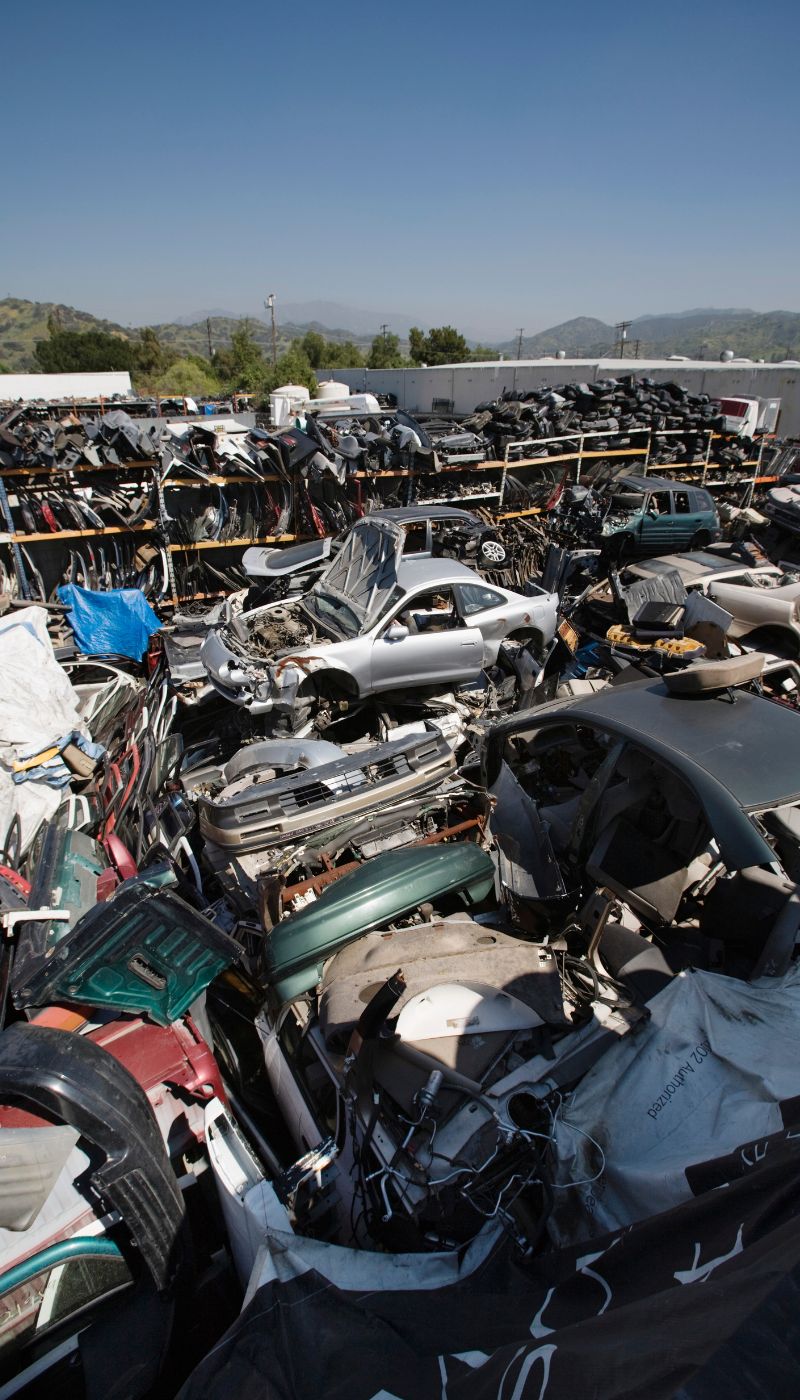 PHOTO-2025-12-22-13-46-57